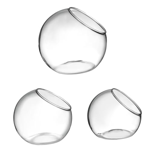 Gatuida 3Stücke Glasterrarium Ökologische Glasflaschen für Sukkulenten und Pflanzen für Dekoration und Miniaturgärten Gatuida 3Stücke Glasterrarium Ökologische Glasflaschen für Sukkulenten und Pflanzen für Dekoration und Miniaturgärten von Gatuida