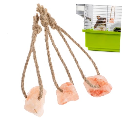 Gatuida 3stücke Salz Spielzeug Für Kleintiere Kaublock Für Kaninchen Salzblöcke Mit Seil Für Haustiere Nährstoff Kauspielzeug Für Eichhörnchen Trainingsspielzeug Für Kleine Tiere von Gatuida