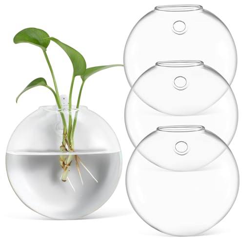 Gatuida 4pcs Glasvase Wand Montiert Hängende Glasblütenblumblüte Blumenvase Wand Pflanzermehrstation Für Innenpflanzen von Gatuida