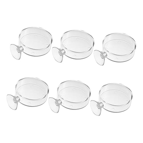Gatuida 6Stücke Fütterungsgerichte für Garnelen Transparente Futterschalen mit Saugnäpfen für Aquarien zu Reinigen für Zierfische und Lebendes Futter Gatuida 6Stücke Fütterungsgerichte für Garnelen Transparente Futterschalen mit Saugnäpfen für Aquarien zu Reinigen für Zierfische und Lebendes Futter von Gatuida