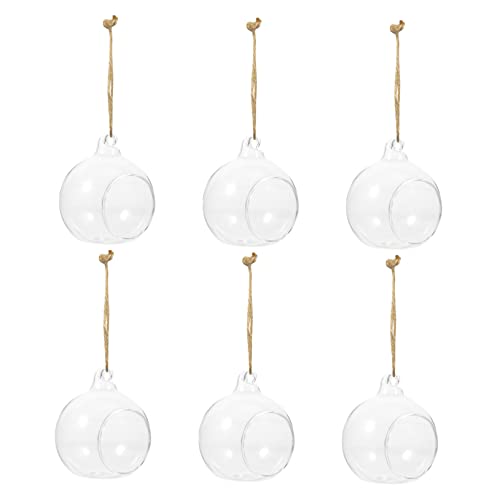 Gatuida 6Stücke Hängende Glasvasen Transparente Form Für Hydroponische Pflanzen Kerzenhalter Für Dekoration Für Fensterbank Und Flur von Gatuida
