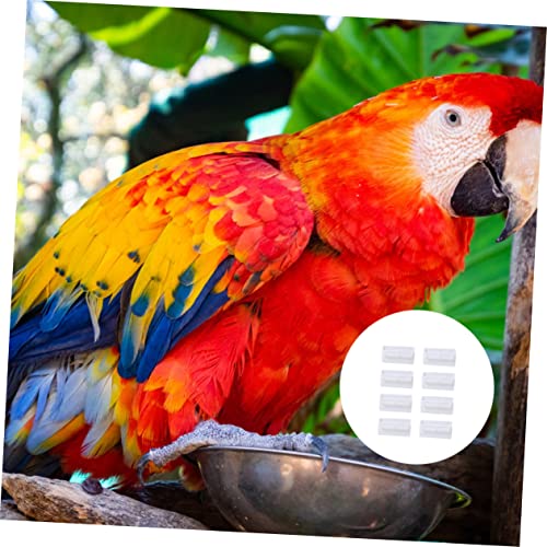 Gatuida 8 Stück Futterstelle Für Papageien Vogelschüssel Papageiplattform Spenderbehälter Becher Für Vogelkäfige Kleiner Vogelkäfig Wasserspender Papageienkäfig Vogel Träger Weiß Plastik Gatuida 8 Stück Futterstelle Für Papageien Vogelschüssel Papageiplattform Spenderbehälter Becher Für Vogelkäfige Kleiner Vogelkäfig Wasserspender Papageienkäfig Vogel Träger Weiß Plastik von Gatuida