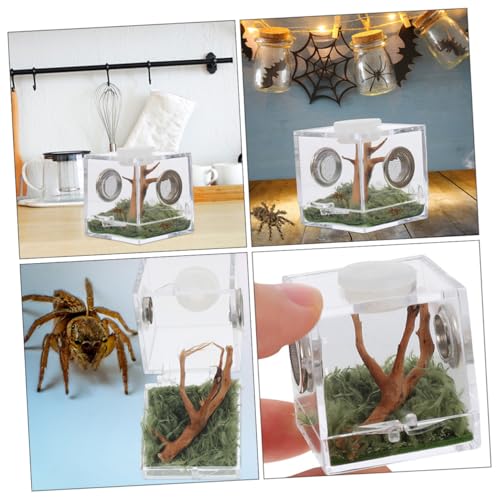 Gatuida Acryl Zuchtbox für Springspinne und Insekten Transparente Aufzuchtbox mit Belüftung Mittlere Reptilien Terrarienbox für Sichere Beobachtung und Einfache Reinigung von Gatuida