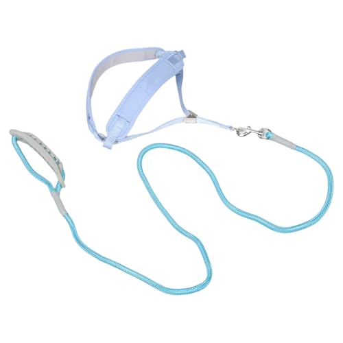 Gatuida Atmungsaktives Hundegeschirr mit Leine Verstellbar Robustes Seil für Kleine Hunde Ergonomisch Schützt Hals für Joggen Training und Outdoor Aktivitäten Gatuida Atmungsaktives Hundegeschirr mit Leine Verstellbar Robustes Seil für Kleine Hunde Ergonomisch Schützt Hals für Joggen Training und Outdoor Aktivitäten von Gatuida