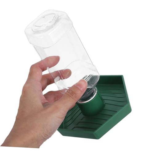Gatuida Automatischer Reptilien wasserspender Grün Klein Praktische Wasserschale für Geckos Schildkröten und Eidechsen Kompakte Tränke für Terrarien Einfach zu Reinigen und Täglicher von Gatuida