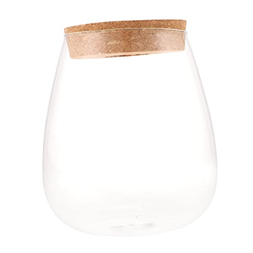 Gatuida DIY Hydroponische Pflanzenglasflasche Für Mikrolandschaften Ökologisches Terrarium Große Bryophyten Container Für Projekte Für Pflanzenliebhaber Und Dekoration von Gatuida