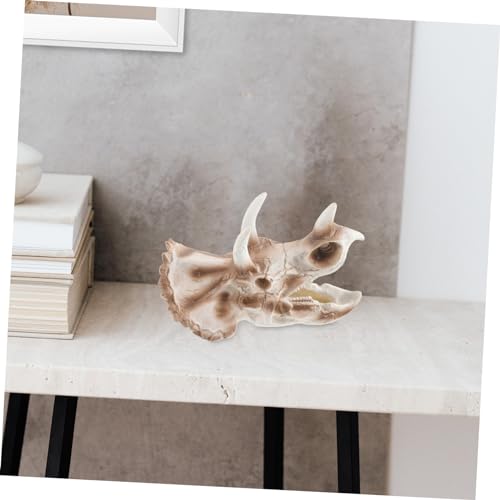 Gatuida Dinosaurier Schädel Aquarium Dekoration Resin Ornament Große Triceratops Figur für Aquarien Gartendeko Kreatives Desktop Zubehör für Einzigartige Wohnatmosphäre Gatuida Dinosaurier Schädel Aquarium Dekoration Resin Ornament Große Triceratops Figur für Aquarien Gartendeko Kreatives Desktop Zubehör für Einzigartige Wohnatmosphäre von Gatuida