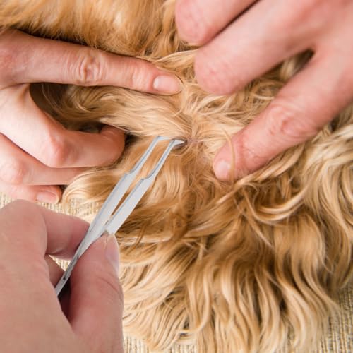 Gatuida Edelstahl Zeckenzange für Hunde mit Aufbewahrungsbox Langlebiges Entferner Werkzeug zum Sicheren Entfernen von Zecken Flöhen und Nissen bei Haustieren Handliches Tierpflege Tool Gatuida Edelstahl Zeckenzange für Hunde mit Aufbewahrungsbox Langlebiges Entferner Werkzeug zum Sicheren Entfernen von Zecken Flöhen und Nissen bei Haustieren Handliches Tierpflege Tool von Gatuida
