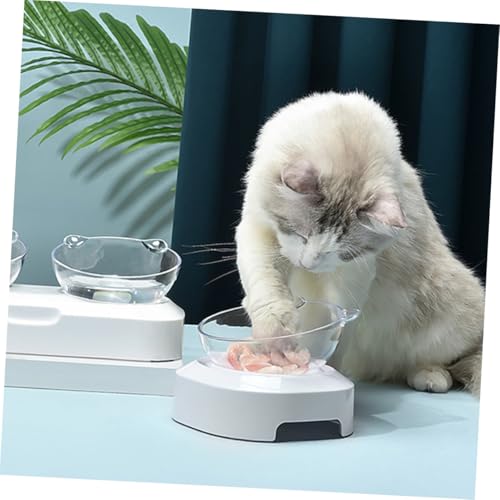 Gatuida Erhöhter Haustiernapf Neigung mit Nackenschutz Stabilem Kunststoff Rutschfestem Design für Katzen und Hunde Leicht zu Reinigen Komfortable Fütterungsschale für Trocken Nassfutter Gatuida Erhöhter Haustiernapf Neigung mit Nackenschutz Stabilem Kunststoff Rutschfestem Design für Katzen und Hunde Leicht zu Reinigen Komfortable Fütterungsschale für Trocken Nassfutter von Gatuida