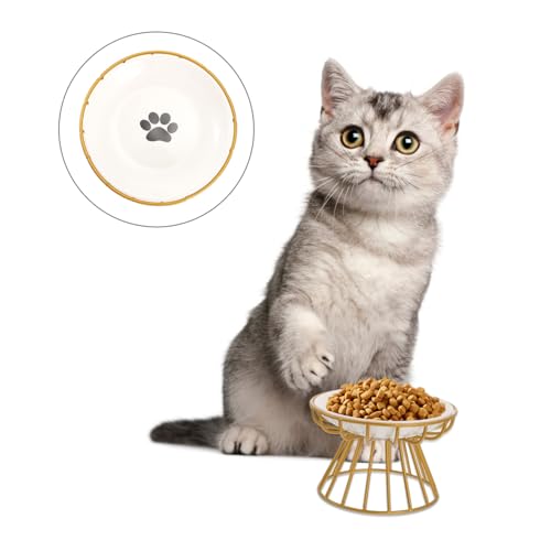Gatuida Erhöhter Keramik Katzen und Welpenfutternapf mit Stabilem Eisenständer Rückenfreundlich Dekorativ für Fresshaltung Geeignet für Kleine bis Mittelgroße Haustiere von Gatuida