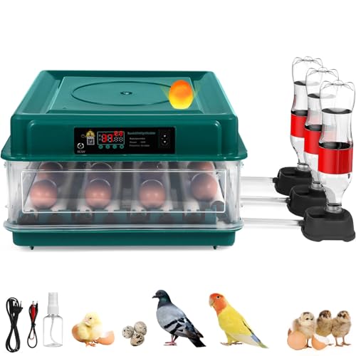 Gatuida Brutkasten Wachteln Brutautomat Vollautomatisch Fully Automatic Incubator 36-48 Eggs Incubator Humidity Control Incubators for Chicken Goose and Quail with ℉ Display Uk Green von Gatuida