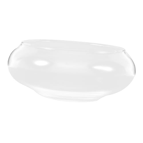 Gatuida Glas Fischschale Klein Aquarium Terrarium Runde Pflanzschale Transparente Wasserkultur Blumentopf für Sukkulenten Kakteen Wasserpflanzen Wohnzimmer Büro Dekoration Gatuida Glas Fischschale Klein Aquarium Terrarium Runde Pflanzschale Transparente Wasserkultur Blumentopf für Sukkulenten Kakteen Wasserpflanzen Wohnzimmer Büro Dekoration von Gatuida