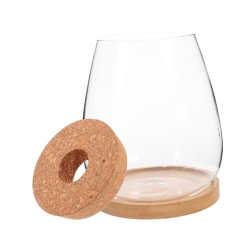 Gatuida Glas Terrarium Flasche DIY Hydroponik Ökosystem Pflanzgefäß Micro Landschaft Behälter für Zimmerdekoration Praktisch Leicht Pflegeleicht Gatuida Glas Terrarium Flasche DIY Hydroponik Ökosystem Pflanzgefäß Micro Landschaft Behälter für Zimmerdekoration Praktisch Leicht Pflegeleicht von Gatuida