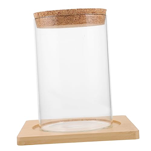 Gatuida Glas-Terrarium Für Sukkulenten Und Pflanzen DIY Öko-Flasche Mit Korken Hohe Runde Glasvase Für Dekorative Mikrolandschaften Im Wohn Und Bürobereich Gatuida Glas-Terrarium Für Sukkulenten Und Pflanzen DIY Öko-Flasche Mit Korken Hohe Runde Glasvase Für Dekorative Mikrolandschaften Im Wohn Und Bürobereich von Gatuida