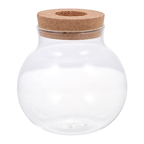 Gatuida Glasfischtank Aquarium Wasserpflanzen Pflanzgefäß Fischglas Beta Fischtank Durchsichtiger Fischglasbehälter Schreibtisch Fischtank Kleiner Hydrokulturfisch Mini von Gatuida