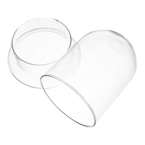 Gatuida Glasflasche mit Deckel für Desktop Ökologische Flaschengestaltung Miniatur Landschaftsbehälter mit Belüftungsloch Geeignet für DIY Moos Terrarium Geschenk für Wohnkultur und Gatuida Glasflasche mit Deckel für Desktop Ökologische Flaschengestaltung Miniatur Landschaftsbehälter mit Belüftungsloch Geeignet für DIY Moos Terrarium Geschenk für Wohnkultur und von Gatuida