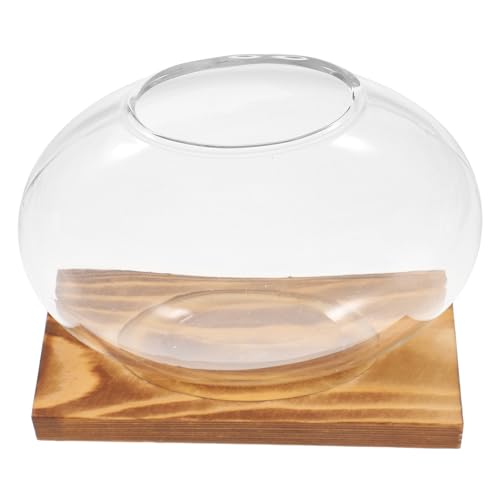 Gatuida Glasvase Mit Holzsockel Transparentes Pflanzenterrarium Für Pflanzenzucht Für Fensterbank Oder Schreibtisch Deko von Gatuida
