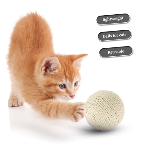 Gatuida Großer Sisal kratzball für Katzen Interaktives Katzenspielzeug mit Geräuschen Langlebig und Robust Geeignet für Wohnungskatzen zur Beschäftigung und Krallenpflege Gatuida Großer Sisal kratzball für Katzen Interaktives Katzenspielzeug mit Geräuschen Langlebig und Robust Geeignet für Wohnungskatzen zur Beschäftigung und Krallenpflege von Gatuida