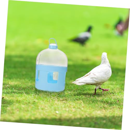 Gatuida Großer Vogeltrog Wasserspender für Tauben Pigeon Water Feeder Robustes Material Abnehmbar Leicht zu Reinigen Vogelkäfig Zubehör Geeignet für Papageien und Tauben von Gatuida