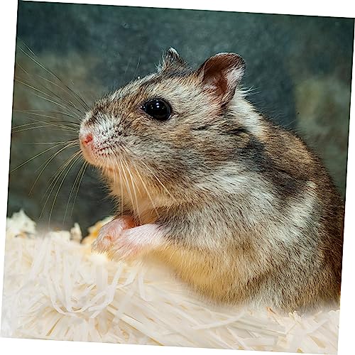 Gatuida Hamster Nest Einlage Staubarmes Kleintierstreu Atmungsaktives Polstermaterial für Saubere und Geruchsfreie Käfige Sicheres Schlafzubehör für Kleine Haustiere von Gatuida