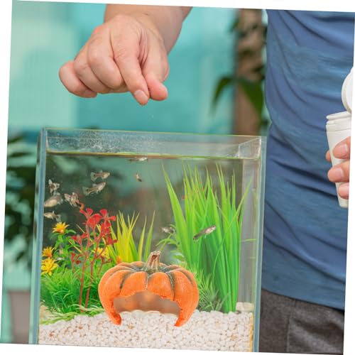 Gatuida Harz Kürbis Aquarium Dekoration Fisch und Garnelenversteck Wasserfeste Aquarienlandschaft Figur Freundliches Versteck für Fische Attraktive Deko für Gästezimmer Gatuida Harz Kürbis Aquarium Dekoration Fisch und Garnelenversteck Wasserfeste Aquarienlandschaft Figur Freundliches Versteck für Fische Attraktive Deko für Gästezimmer von Gatuida