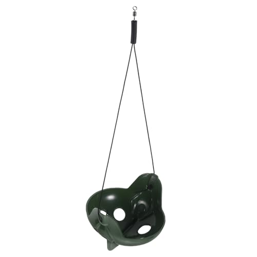 Gatuida Haustier Spielhabitat Grünes Amphibien Bauchmuskel Froschnetz Niedlicher Frosch Lebensraum von Gatuida