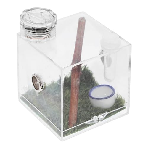 Gatuida Hochtransparente Spinnenlebensraum Box Mit Integrierter Für Florida Springspinnen Fütterungsöffnung Und Luftbefeuchter Für Zucht Und Haltung von Gatuida