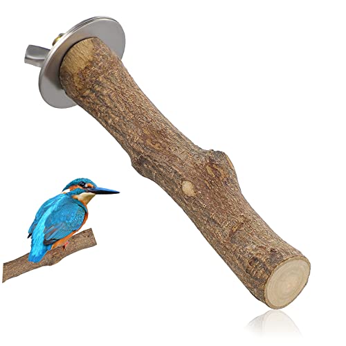Gatuida Holz Vogel Sitzstange für Papageien Durchmesser Robust rutschfest und Gesundheitsfördernd für Kleine Vögel Wie Sittiche und Kanarienvögel als Käfigzubehör zur Entspannung und von Gatuida