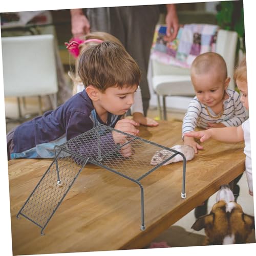 Gatuida Hühnerplattform mit Leiter aus Robustem Metall und Platzsparend Vielseitig für Kleine Haustiere Wie Hühner und Kleintiere Verbessert Raum im Stall Langlebig und Sicher Gatuida Hühnerplattform mit Leiter aus Robustem Metall und Platzsparend Vielseitig für Kleine Haustiere Wie Hühner und Kleintiere Verbessert Raum im Stall Langlebig und Sicher von Gatuida