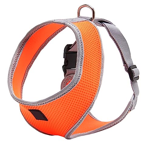 Gatuida Hundegeschirr für Haustiere Sicherheitsweste mit Verstellbarem Gurt Orange Komfortables und Atmungsaktives Geschirr für Katzen für Gatuida Hundegeschirr für Haustiere Sicherheitsweste mit Verstellbarem Gurt Orange Komfortables und Atmungsaktives Geschirr für Katzen für von Gatuida