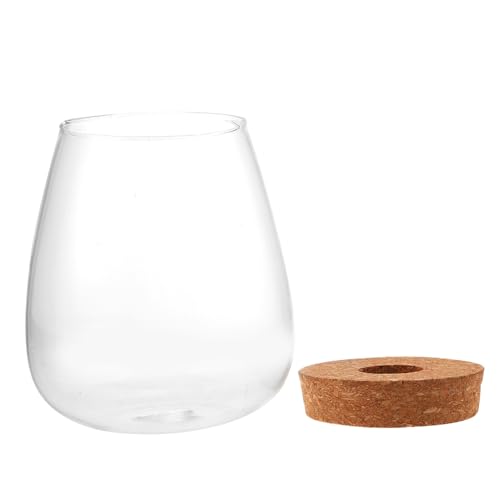 Gatuida Hydroponische Glasflasche für DIY Microlandscape Pflanzen Klares Terrarium mit Frischem Moos Dekorative Pflanzflasche für Innenräume Wie Wohnzimmer Büro Platzsparend und Gatuida Hydroponische Glasflasche für DIY Microlandscape Pflanzen Klares Terrarium mit Frischem Moos Dekorative Pflanzflasche für Innenräume Wie Wohnzimmer Büro Platzsparend und von Gatuida