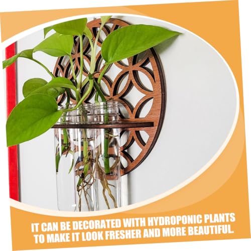 Gatuida Hydroponisches Terrarium mit Kunststoff reagenzglas vase und Rundem Hohlem Pflanzenhalter Inklusive Natürlichem Holzständer für Wasserpflanzen Luftpflanzen und Wanddekoration im Gatuida Hydroponisches Terrarium mit Kunststoff reagenzglas vase und Rundem Hohlem Pflanzenhalter Inklusive Natürlichem Holzständer für Wasserpflanzen Luftpflanzen und Wanddekoration im von Gatuida