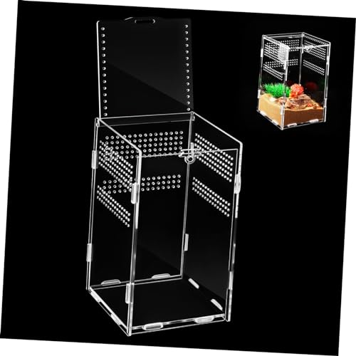Gatuida Kasten Fütterungsbox Springspinnen-Terrarium Aquarium Spinnengehege Reptiliengehäuse Bausatz Gecko vitrinenschränke insektenbox klare Behälter zum Füttern Reptilienterrarium Acryl von Gatuida