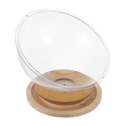 Gatuida Katzenbett Transparentes Kätzchenbett Indoor Katzenhaus Bettmöbel Holzständer Kätzchennest Für Zuhause Kleine Katzen Indoor Pet Shop von Gatuida