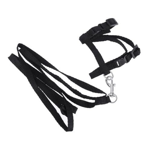 Gatuida Katzengeschirr Mit Einstellbares Nylon Katzenhalsband Für Haustiere Sicherer Für Kätzchen Zubehör Für Ausflüge von Gatuida