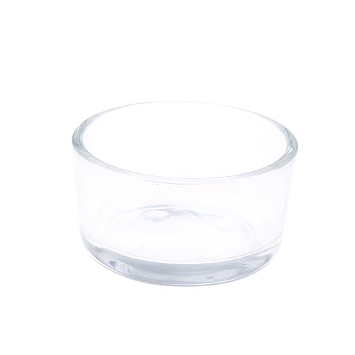 Gatuida Klarer Futterteller für Reptilien Rundschale für Fische und Dekorative Terrarien Multifunktionale Futter und Wasserschale für Schildkröten Echsen und Gatuida Klarer Futterteller für Reptilien Rundschale für Fische und Dekorative Terrarien Multifunktionale Futter und Wasserschale für Schildkröten Echsen und von Gatuida