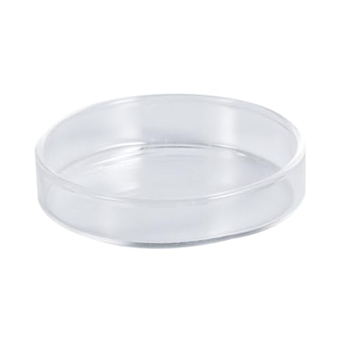 Gatuida Klares Shrimps Futter Schalen Futterbehälter Für Aquarienfische Fütterungslösung Für Garnelen Und Dekorative Aquarienaccessoires von Gatuida