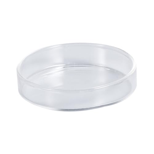 Gatuida Klarglas Garnelen Futter Schale Futterbasis Für Aquarien Für Fütterung Von Ziergarnelen Hochwertiges Zu Reinigen Gatuida Klarglas Garnelen Futter Schale Futterbasis Für Aquarien Für Fütterung Von Ziergarnelen Hochwertiges Zu Reinigen von Gatuida