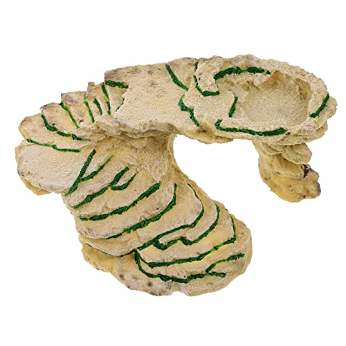 Gatuida Klettern Für Haustiere Reptilienhaut Für Schildkrötenbecken Reptilienterrarium Sonnenkletterplattform Rampendekorationen Für Reptilien Höhle Schildkrötenfell Groß Harz Khaki Gatuida Klettern Für Haustiere Reptilienhaut Für Schildkrötenbecken Reptilienterrarium Sonnenkletterplattform Rampendekorationen Für Reptilien Höhle Schildkrötenfell Groß Harz Khaki von Gatuida