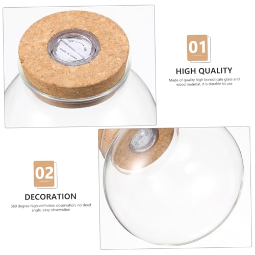 Gatuida LED glasflasche mit LED weißlicht DIY Miniatur landschaftsbottle Transparentes Aquarium für Kreative Mikro landschaftsgestaltung Kompakt zur Dekoration Innen und Außen Stilvolles Gatuida LED glasflasche mit LED weißlicht DIY Miniatur landschaftsbottle Transparentes Aquarium für Kreative Mikro landschaftsgestaltung Kompakt zur Dekoration Innen und Außen Stilvolles von Gatuida