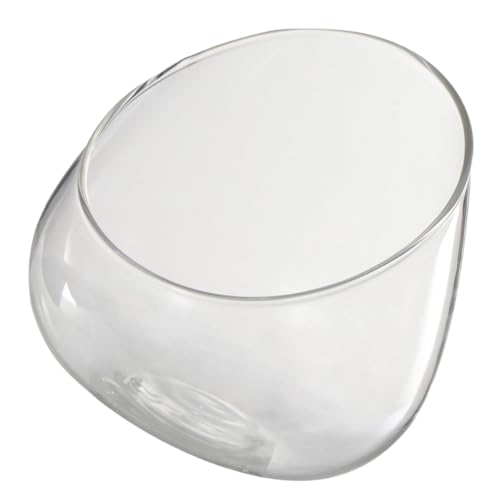 Gatuida Micro Landschaft Flasche aus Stabilem Moos Terrarium für Desktop Sukkulenten Vielseitiger Flaschengarten für Pflanzen und Dekoration im Haushalt von Gatuida