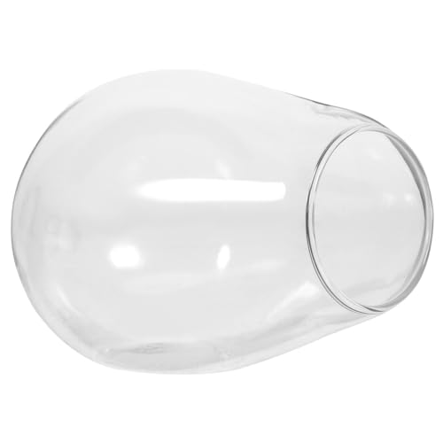 Gatuida Micro Landschaft Glasflasche mit Schrägem Flaschenhals DIY Moos landschaftsbehälter Transparentes Ökologisches Terrarium für Zimmerdekoration und Pflanzenarrangements von Gatuida