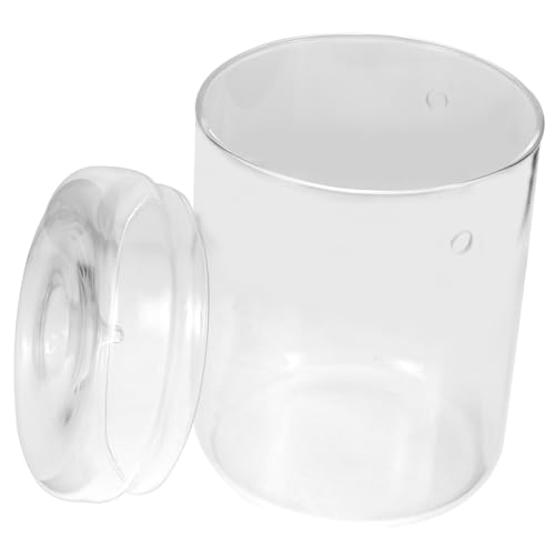 Gatuida Micro Terrarium Glasflasche für Moos und Pflanzen Dekorativer Pflanzbehälter mit Kreativem DIY Mikrolandschafts Design für Wohn und Büroräume von Gatuida