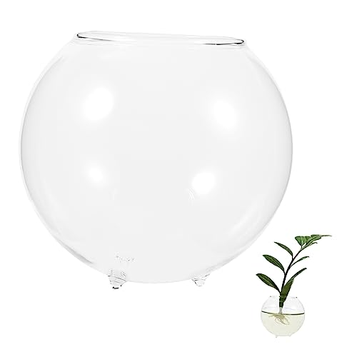 Gatuida Micro-landschaftsvase Schüsseln Luft Tischaquariumschale Anlage Vasen Fischfutter Obstschale Tank Aquariumdekorationen Zubehör Für Aquarien Desktop-fischschüssel Fischzubehör Glas von Gatuida
