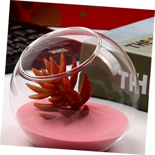 Gatuida Mini Terrarium Flasche Glas Kugel Nachhaltige Flasche für DIY Dekoration Langlebiges Mikro landschaftsgefäß Geeignet für Wohn Bürodekoration Handgefertigtes Geschenk von Gatuida