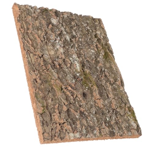 Gatuida Natürliche Korkrinde Terrarium Dekoration Klettern Plattform Reptil Zubehör Feuchtigkeitsresistent Sicher für Schlangen Eidechsen und Kleintiere von Gatuida