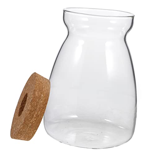 Gatuida Ökologische Mikrolandschaftsflasche Mikrolandschaft Terrarium Container Pflanzentopf Für Drinnen Groß Dekoration Wachsend Pflanzenterrarium Terrarien Mini System Glas Transparent von Gatuida