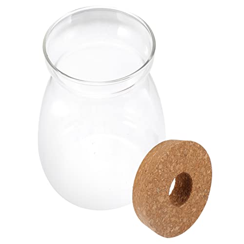 Gatuida Ökologische Mikrolandschaftsflasche Mikrolandschaft Terrarium Pflanzen winzige Behälter große Gläser mit Deckel Dekoration Ökosystem Terrarium Terrarienglas hölzern Transparent von Gatuida