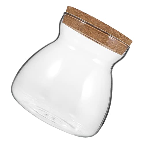 Gatuida Ökologische Mikrolandschaftsflasche Ökosystem Terrarium Container drinnen Anlage dekorativ zimmerpflanzen Ökosystembehälter Behälter für hydroponische Pflanzen Glas Transparent Gatuida Ökologische Mikrolandschaftsflasche Ökosystem Terrarium Container drinnen Anlage dekorativ zimmerpflanzen Ökosystembehälter Behälter für hydroponische Pflanzen Glas Transparent von Gatuida