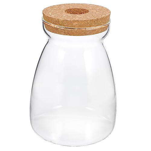 Gatuida Terrarium Glasbehälter Für Hydroponische Pflanzen Große Mikrolandschaft Ökologie Flasche Mit Lochdeckel Für Zimmerpflanzen Und Dekoration Gatuida Terrarium Glasbehälter Für Hydroponische Pflanzen Große Mikrolandschaft Ökologie Flasche Mit Lochdeckel Für Zimmerpflanzen Und Dekoration von Gatuida